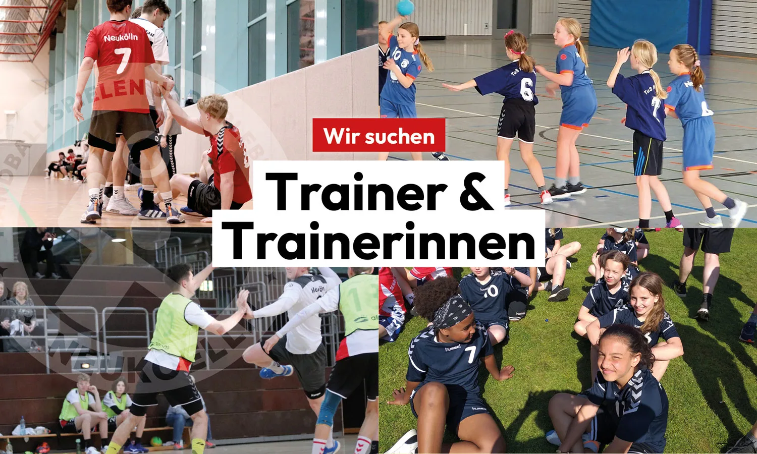 ✨ Wir suchen DICH! ✨